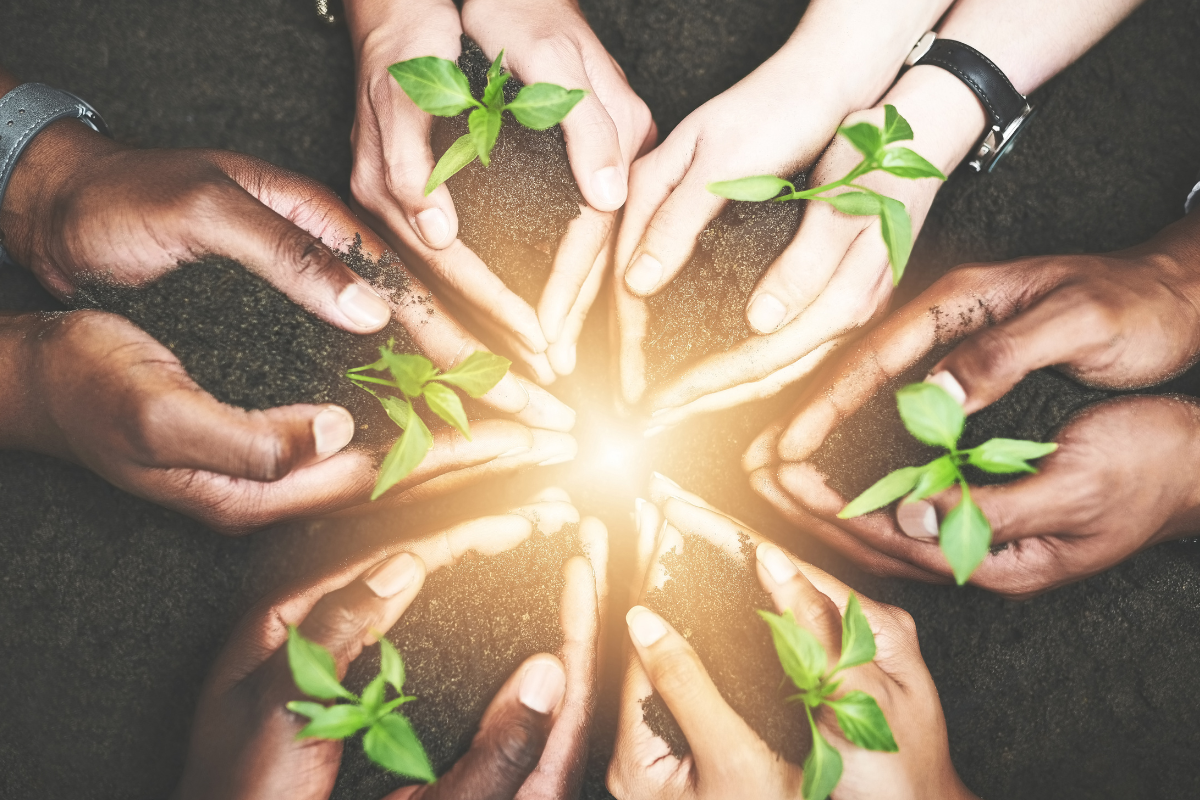 Parábola do semeador explicação