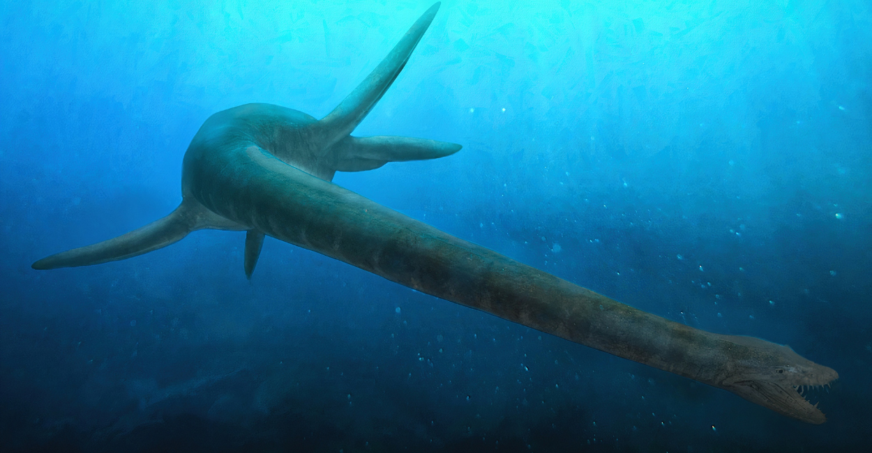 O que é Leviatã: Uma análise segundo a bíblia Leviatã é um termo que tem sido usado por diferentes culturas e religiões ao longo da história. Na Bíblia, Leviatã é descrito como um monstro marinho feroz e indomável que representa as forças do mal e do caos que lutam contra Deus. A criatura leviatã bíblia é mencionada em vários livros do Antigo Testamento, incluindo o Livro de Jó e o Livro de Salmos. • Leia também: Melhores estudos para te aproximar de Deus! Embora o Leviatã bíblico seja frequentemente visto como uma figura mitológica, algumas pessoas acreditam que a criatura realmente existiu em algum momento da história. Alguns estudiosos sugerem que o monstro pode ter sido inspirado por animais reais, como crocodilos ou baleias. No entanto, não há evidências concretas para apoiar essa teoria e os relatos sobre o Leviatã permanecem em grande parte um mistério. Independentemente de sua existência real, o Leviatã continua a fascinar e intrigar as pessoas até hoje. Muitos continuam a se perguntar o que exatamente é o Leviatã e qual é o seu significado na Bíblia. Neste artigo, exploraremos as diferentes interpretações e teorias sobre essa criatura lendária e tentaremos descobrir o que torna o Leviatã tão cativante para tantas pessoas. O que é Leviatã? o que é um leviatã? Leviatã é um termo que aparece na Bíblia e é descrito como um monstro marinho de proporções gigantescas. Segundo a tradição bíblica, o Leviatã é uma criatura monstruosa que representa o caos e a destruição. Ele é mencionado em vários livros da Bíblia, incluindo o Livro de Jó e o Livro de Salmos. Veja mais sobre quem foi Raabe na bíblia! De acordo com a Bíblia, o Leviatã é um animal que vive no mar e é tão grande que é capaz de engolir navios e pessoas inteiras. O termo Leviatã também é usado como uma metáfora para descrever algo que é grande e poderoso. Embora o Leviatã seja uma figura mitológica, alguns estudiosos acreditam que ele pode ter sido baseado em animais reais. Alguns sugerem que a criatura pode ter sido inspirada em baleias ou grandes crocodilos que habitavam as águas do Oriente Médio. Apesar de ser uma figura lendária, muitas pessoas ainda se perguntam se o Leviatã realmente existiu em algum momento da história. Embora não haja evidências científicas concretas que comprovem a existência do Leviatã, muitas pessoas acreditam que ele pode ter sido baseado em animais reais que viveram no passado. Em resumo, o Leviatã é uma figura lendária da Bíblia que representa o caos e a destruição. Embora seja uma criatura mitológica, o Leviatã ainda é objeto de fascínio para muitas pessoas que se perguntam se ele realmente existiu ou não. Assim sabemos leviatã o que é. Quem é o Leviatã que a Bíblia fala? O Leviatã é uma criatura mítica mencionada na Bíblia. Ele é descrito como um monstro marinho gigante e tem sido associado a algumas sagas. De acordo com o Livro de Jó, há duas criaturas intrigantes: Behemoth e Leviatã. Veja mais sobre quando Jesus nasceu! O Leviatã é mencionado em várias partes da Bíblia, incluindo o Livro de Jó, Salmos e Isaías. Em Isaías 27:1, ele é descrito como uma serpente marinha, longa, forte, tortuosa e veloz. Em algumas partes da Bíblia, o Leviatã é usado para simbolizar as forças do mal e do caos que lutam contra Deus. Embora alguns estudiosos acreditem que o Leviatã é apenas uma metáfora, outros acreditam que o leviatã existiu de fato. Alguns acreditam que ele era um crocodilo, enquanto outros acreditam que era um peixe gigante ou uma baleia. Não há evidências científicas que comprovem a existência do Leviatã. Em resumo, o Leviatã é uma criatura mítica mencionada na Bíblia. Ele é descrito como um monstro marinho gigante e tem sido associado a algumas sagas. Embora não haja evidências científicas que comprovem sua existência, ele continua a intrigar e fascinar as pessoas até hoje. Qual é a função do Leviatã? O Leviatã é uma figura mitológica presente em diversas culturas ao redor do mundo, sendo mais conhecido por sua menção na Bíblia. Ele é descrito como um monstro marinho gigantesco, que representa força indomável e perigosa. Em algumas partes da Bíblia, é usado para simbolizar as forças do mal e do caos, que lutam contra Deus. Veja mais sobre porque Caim matou Abel! Na Bíblia, o Leviatã é mencionado como uma criatura imensa, que foi criada por Deus para habitar as profundezas do mar. Ele é descrito como um monstro poderoso, capaz de causar grande destruição. No livro de Jó, é dito que apenas Deus é capaz de controlar o Leviatã. Apesar de ser uma figura mitológica, o Leviatã tem uma função importante na Bíblia. Ele é usado como um símbolo para representar as forças do mal e do caos, que lutam contra Deus. Alguns estudiosos acreditam que o Leviatã é uma representação do diabo, enquanto outros argumentam que ele é uma representação do poder do mal em geral. Em resumo, o Leviatã é uma figura mitológica presente na Bíblia, que representa força indomável e perigosa. Ele é usado como um símbolo para representar as forças do mal e do caos, que lutam contra Deus. Embora seja uma figura mitológica, o Leviatã tem uma função importante na Bíblia e é frequentemente citado em discussões teológicas e filosóficas. É verdade que o Leviatã existe? O Leviatã é uma criatura lendária que aparece em diversas culturas e mitologias ao redor do mundo. Na Bíblia, o Leviatã é descrito como um monstro marinho de proporções gigantescas, que representa a força indomável e perigosa da natureza. Embora muitas pessoas acreditem que o Leviatã seja apenas uma figura mitológica, existem aqueles que afirmam que ele realmente existiu em algum momento da história. De acordo com algumas teorias, o Leviatã poderia ter sido um animal pré-histórico, como um plesiossauro ou um mosassauro, que teria sobrevivido até tempos mais recentes. No entanto, não há evidências concretas que comprovem a existência do Leviatã. Além disso, muitos dos relatos sobre o monstro são baseados em lendas e mitos, o que torna difícil distinguir a realidade da ficção. Apesar disso, o Leviatã continua a ser uma figura fascinante e misteriosa, que inspira a imaginação e a curiosidade de muitas pessoas. Seja como um símbolo da força da natureza ou como um monstro lendário, o Leviatã continua a intrigar e a desafiar a compreensão humana. Onde vive o Leviatã? O Leviatã é uma criatura lendária mencionada na Bíblia. Embora não exista evidência científica da existência do Leviatã, ele é frequentemente descrito como uma criatura marinha gigante. Na Bíblia, o Leviatã é descrito como uma criatura poderosa e indomável que habita o mar. De acordo com a Bíblia, o Leviatã é uma criatura que habita as profundezas do mar. Ele é descrito como uma besta feroz e indomável, com uma armadura impenetrável e uma boca cheia de dentes mortais. O Livro de Jó dedica um capítulo inteiro a esta criatura, descrevendo-a como uma criatura que agita o mar como um tinteiro. Embora não exista evidência científica da existência do Leviatã, muitas culturas ao redor do mundo têm lendas sobre criaturas semelhantes. Na mitologia grega, por exemplo, o Leviatã é conhecido como Ceto, uma criatura marinha monstruosa associada ao caos e à destruição. Apesar de muitas culturas terem lendas sobre criaturas semelhantes ao Leviatã, não há evidências científicas que comprovem a existência de um monstro Leviatã. O Leviatã bíblico, portanto, é considerado uma criatura mitológica. Perguntas Frequentes Qual é a representação do Leviatã na Bíblia? O Leviatã é uma criatura mítica mencionada na Bíblia, que pode ser interpretada como um monstro marinho ou um crocodilo gigante. Ele é descrito como um animal poderoso e temido, que representa o caos e a ameaça à ordem divina. Existem evidências da existência real do Leviatã? Não há evidências científicas que comprovem a existência real do Leviatã. A menção da criatura na Bíblia é considerada uma metáfora ou uma alegoria para representar as forças do mal e a luta entre o bem e o mal. Qual seria o momento profetizado para o despertar do Leviatã? Não há um momento profetizado para o despertar do Leviatã na Bíblia. Algumas interpretações sugerem que a criatura será libertada no fim dos tempos para lutar contra Deus, mas isso é considerado especulação e não uma profecia bíblica. Como o Leviatã é descrito fisicamente nos textos bíblicos? O Leviatã é descrito como uma criatura gigantesca e poderosa, com escamas e dentes afiados. Ele é mencionado em vários livros da Bíblia, incluindo o livro de Jó e os Salmos. Em que aspectos o Leviatã se assemelha a um animal conhecido? Algumas interpretações sugerem que o Leviatã se assemelha a um crocodilo ou um hipopótamo, devido à sua descrição como um animal aquático com escamas e dentes afiados. No entanto, a criatura é considerada uma metáfora e não uma descrição precisa de um animal real. De que forma a mitologia descreve o Leviatã? Além da Bíblia, o Leviatã também é mencionado em outras mitologias, como a fenícia e a judaica. Nessas tradições, ele é descrito como um monstro marinho ou um dragão que representa o caos e a destruição.