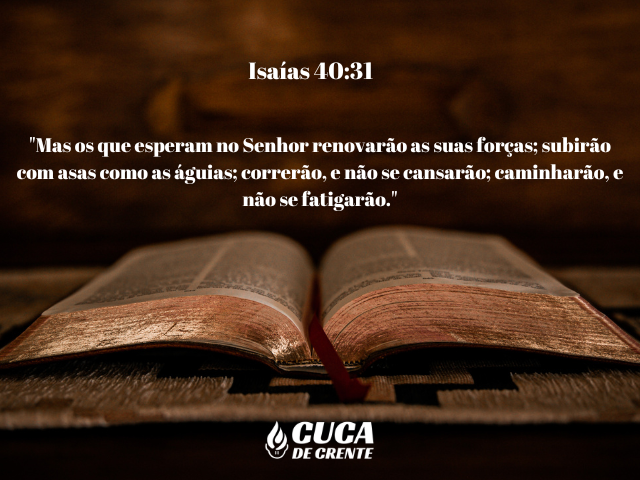 Isaías 40:31 
