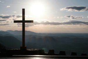 estudo da neurociência